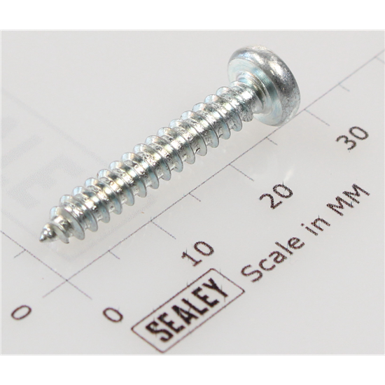 Sealey M/Mig100.29 - Self Tapping Screw