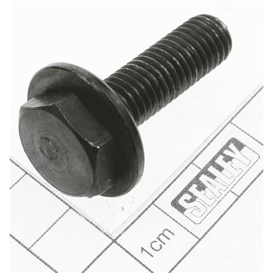 Sealey Ps997.06 - Studs (M10x45mm)