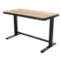 Dellonda DH65 - Dellonda Oak Electric Adjustable Standing Desk with USB & Drawer, 1200 x 600mm
