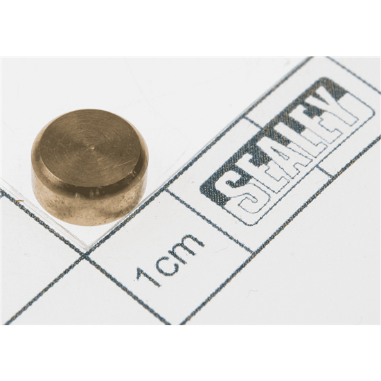 Sealey 10000es.P03 - Retaining Valve Core