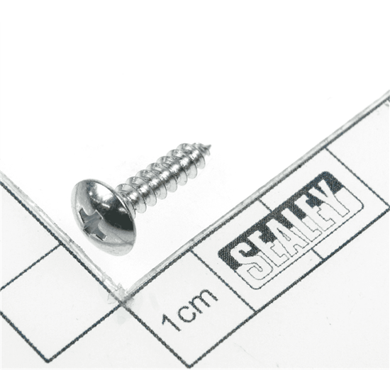 Sealey Crm10.V4-02 - Screw (St4.2x19)