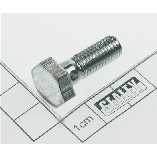 Sealey Hpt300.V3-41 - Bolt M8x24